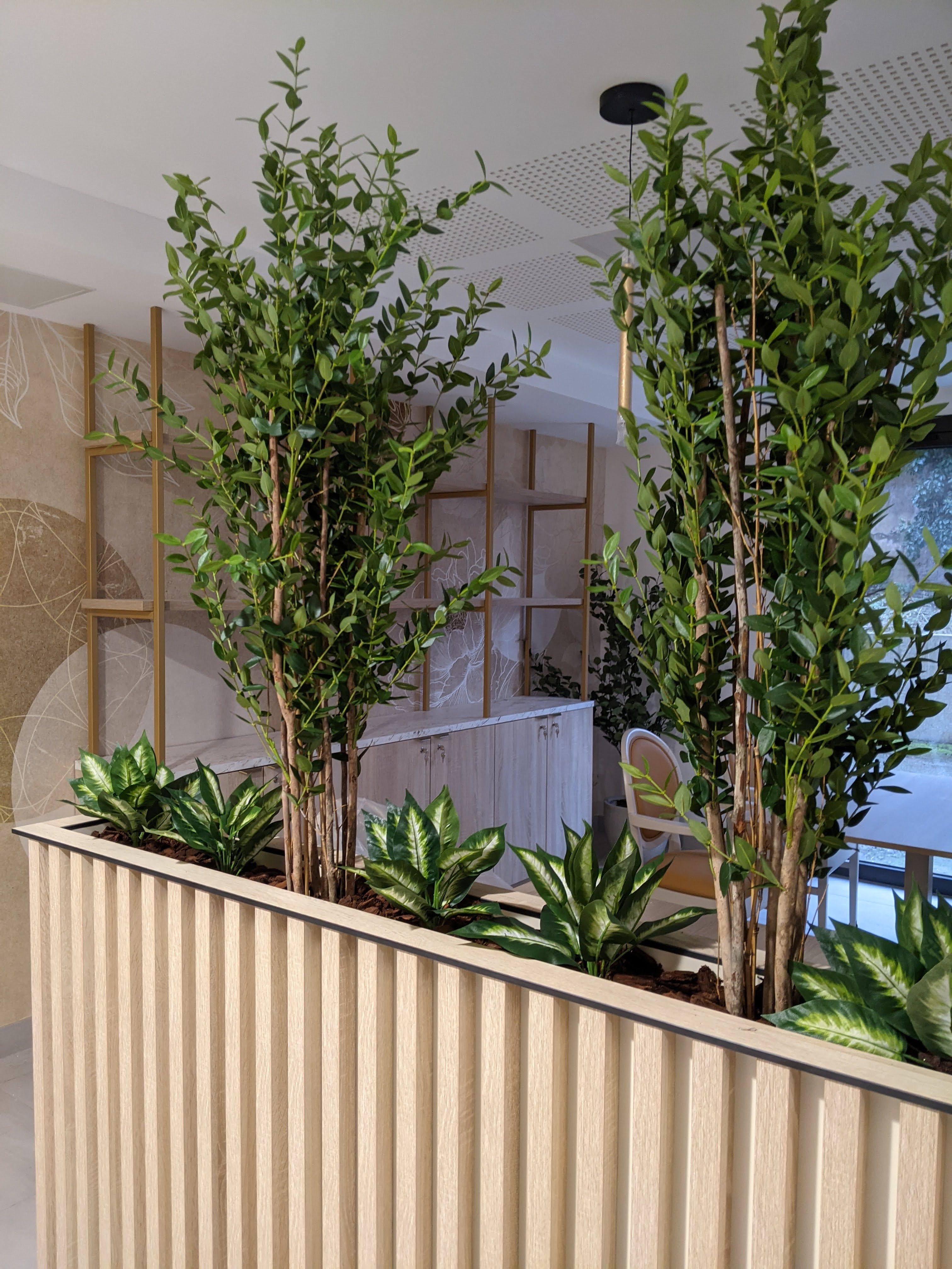 Aménagement Végétal durable sans entretien - Plantes articifielles premium et végétaux stabilisés - Deco Sens